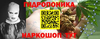 крисы Тверь