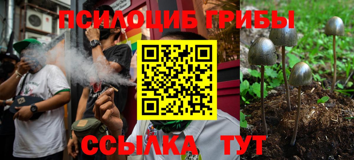 Псилоцибиновые грибы MAGIC MUSHROOMS  Вход с VPN  Нижний Тагил  Псилоцибиновые грибы Magic Shrooms 